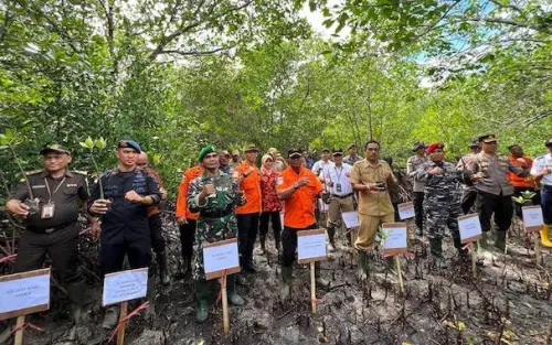 Sambut HUT Ke-51, Basarnas Maumere NTT Tanam Mangrove di Pantai Kolisia
