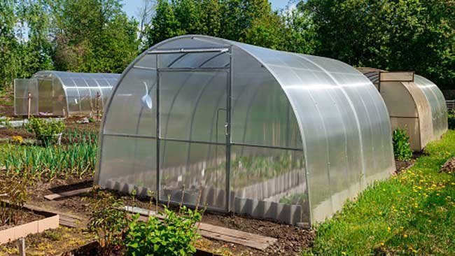 Lebih Akrab dengan Green House, Sejarah, Jenis, dan Manfaatnya