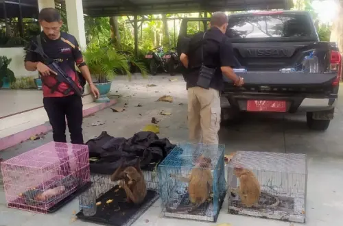 Kasus Penyelundupan Satwa Liar Dilindungi Segera Dilimpahkan ke Kejati Gorontalo