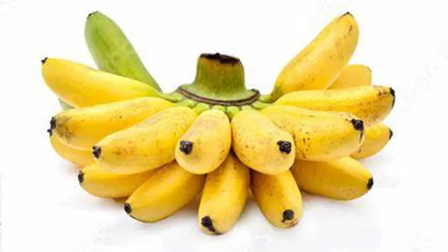 Pisang Mas, Potensi Desa Kindang yang Belum Dilirik