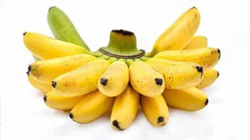 Pisang Mas, Potensi Desa Kindang yang Belum Dilirik