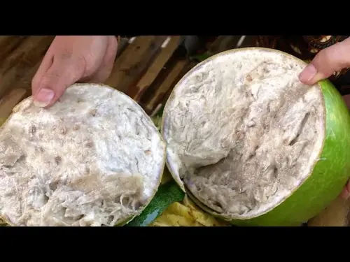 Praktis dan Alami, Begini Cara Mengolah Buah Maja sebagai Pestisida Nabati!