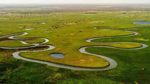 Tentang Delta Sungai, Manfaat, dan Ancaman Nyata yang Mengintainya