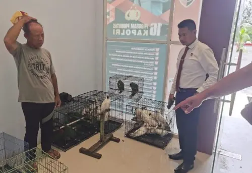 Melalui Operasi Senyap, BKSDA Maluku Amankan 91 Ekor Burung Dilindungi