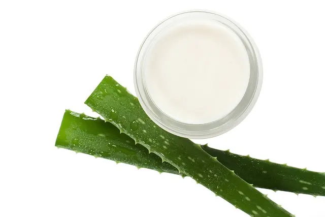 Kenali Tanaman Hias Yang Berkhasiat Obat, Sudah Tanam?