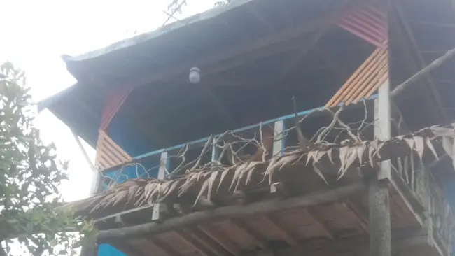Kenalkan 8 Material Berkelanjutan untuk Industri dan Rumah Tangga