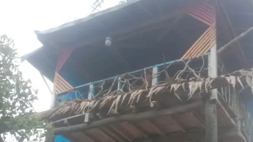 Kenalkan 8 Material Berkelanjutan untuk Industri dan Rumah Tangga