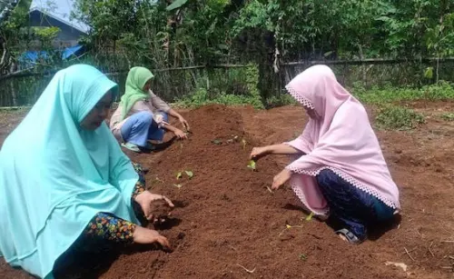 Pemdes Bontomangiring Programkan Kebun Inklusi Bagi Difabel