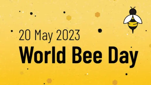 Selamat Hari Lebah Sedunia (World Bee Day), 20 Mei 2023