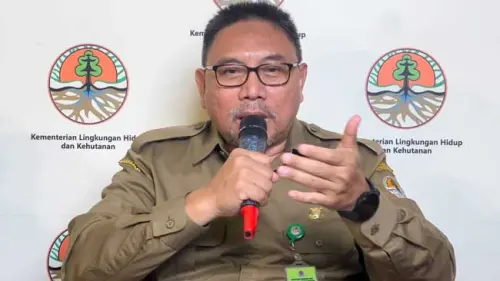 Kabar Baik, Laju Deforestasi Indonesia Alami Penurunan