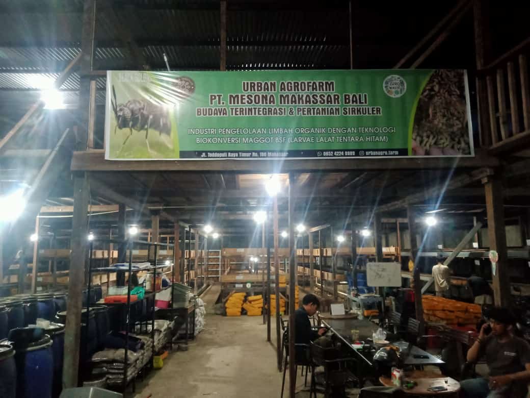 Urban Agrofarm, Budidaya Maggot dengan Misi Tangani Sampah Organik Perkotaan