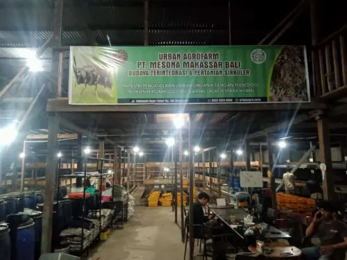 Urban Agrofarm, Budidaya Maggot dengan Misi Tangani Sampah Organik Perkotaan