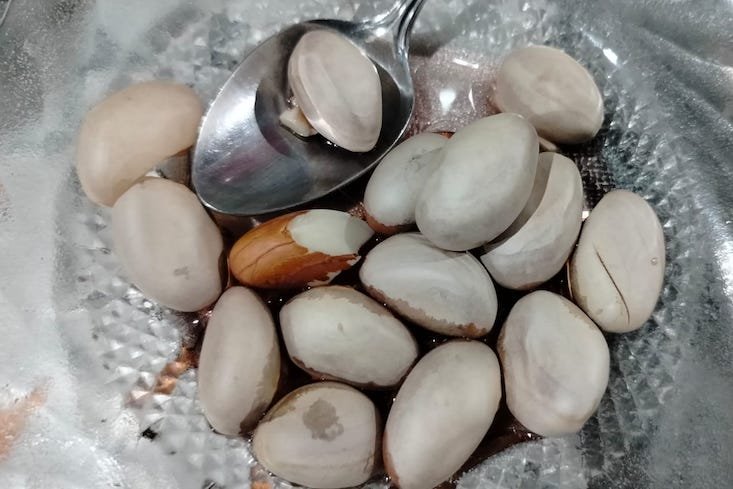 Makan Nangka Jangan Dibuang Bijinya, Ini Sederet Manfaat Rebusan Biji Nangka!