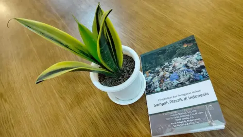 Ini Rupanya Hal-hal Baik dari Menaruh Sansevieria di Dekat Kita