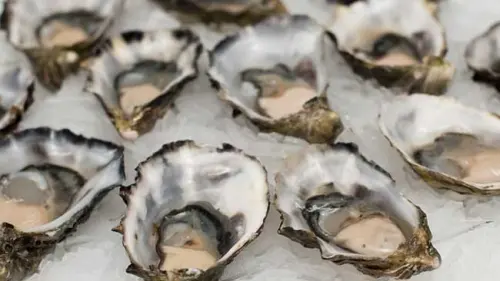 Selain Meningkatkan Vitalitas Pria, Ini 9 Fakta Mengejutkan dari Tiram