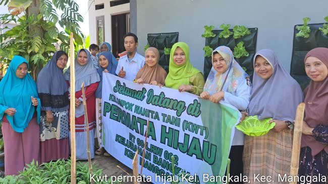 Sirangi Rong, Cara Cerdas Budidaya Pertanian KWT Permata Hijau, Makassar