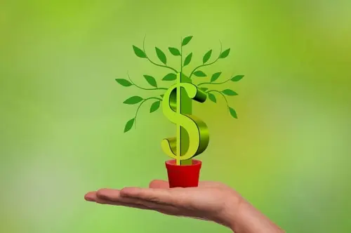 Mengapa Valuasi Ekonomi Lingkungan Menjadi Penentu Masa Depan Pembangunan?