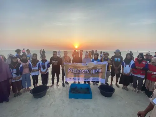 Senja yang Molek dan Momen Istimewa Melepas Tukik di Pulau Jinato