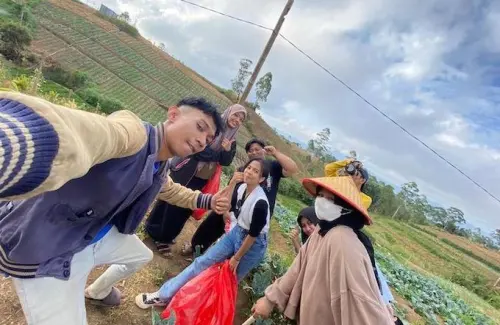Upaya Petani Kanreapia Jaga Asa Pangan Berkelanjutan dari Ketinggian yang Gigil