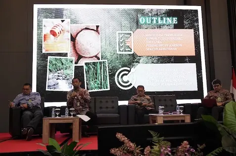Menilik Peta Jalan Perdagangan Karbon di Indonesia