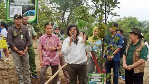 Ketika Pohon Nangka yang Ditanam Menteri LHK Langsung Berbuah