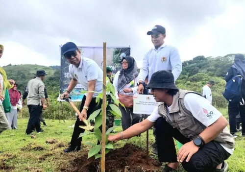 Dihadiri Tenaga Ahli Menteri LHK, Penanaman Serentak Meriah di Barru