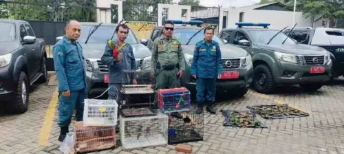 Cerita Baru Kasus Perdagangan Satwa Dilindungi Lintas Provinsi di  Makassar, Tersangka Siap Disidangkan