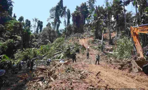 Gakkum KLHK Limpahkan Perkara Pembukaan Kawasan Hutan Ilegal ke Kejati Sulteng