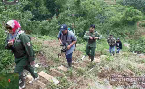 Antara Patroli, Penyadartahuan, dan Durian