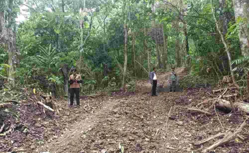 Babak Baru Kasus Pengrusakan Hutan Lindung di Bone yang Melibatkan Oknum Kades