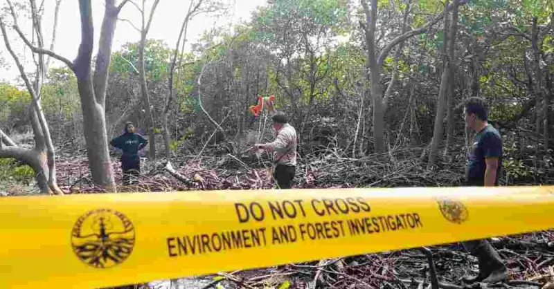 Rusak Mangrove di TN Bunaken, Pengusaha Tambak Udang Segera Disidang