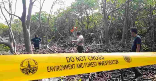 Rusak Mangrove di TN Bunaken, Pengusaha Tambak Udang Segera Disidang