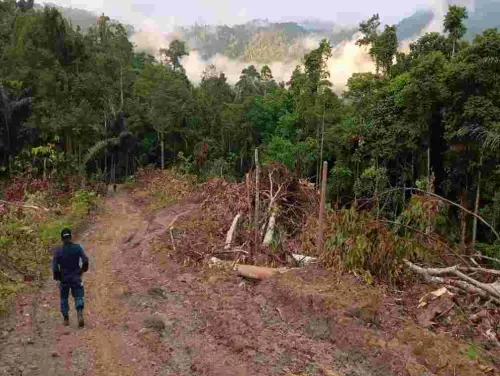 Kasus Perusakan Hutan di HPT Desa Batu Ampa Sulbar Segera Disidangkan