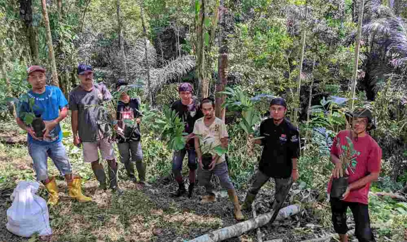 Dukung Pemulihan Ekosistem, DMT Tanam Pohon di Wilayah DAS Balantieng