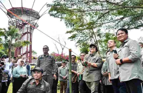 Lestarikan Keanekaragaman Hayati Perkotaan, Menteri LHK Lepasliarkan 79 Ekor Burung