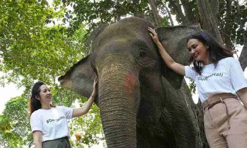 PermataBank dan WWF-Indonesia Kolaborasi Dukung Pelestarian Alam