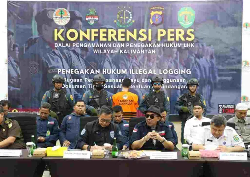 Bongkar Sindikat Kayu Ilegal Asal Kalimantan: Direktur Perusahaan Peredaran Kayu Ilegal Ditangkap Gakkum LHK