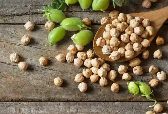 Lebih Dekat dengan Kacang Arab, Pangan Masa Depan dan Berkelanjutan