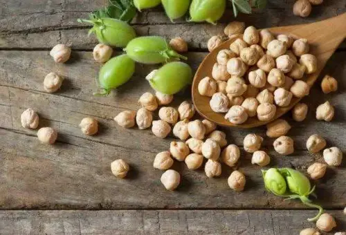 Lebih Dekat dengan Kacang Arab, Pangan Masa Depan dan Berkelanjutan