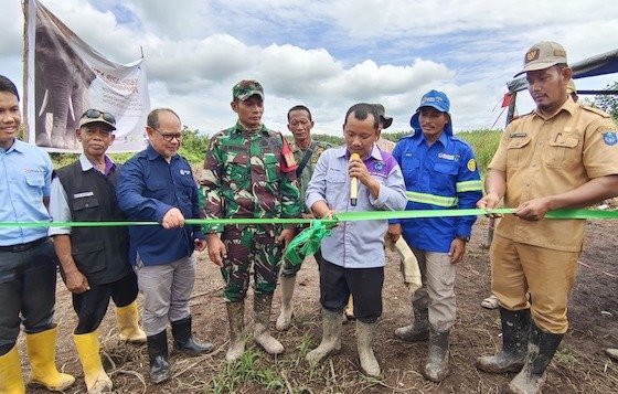 Belantara Foundation Dukung Harmoni Manusia dan Gajah di Ogan Komering Ilir