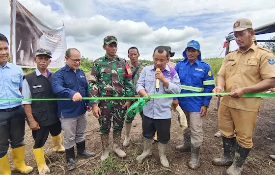 Belantara Foundation Dukung Harmoni Manusia dan Gajah di Ogan Komering Ilir
