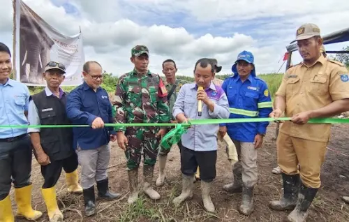 Belantara Foundation Dukung Harmoni Manusia dan Gajah di Ogan Komering Ilir