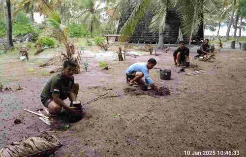 Penanaman Pohon Warnai Peringatan Hari Gerakan Sejuta Pohon di Pulau Tinabo dan Latondu