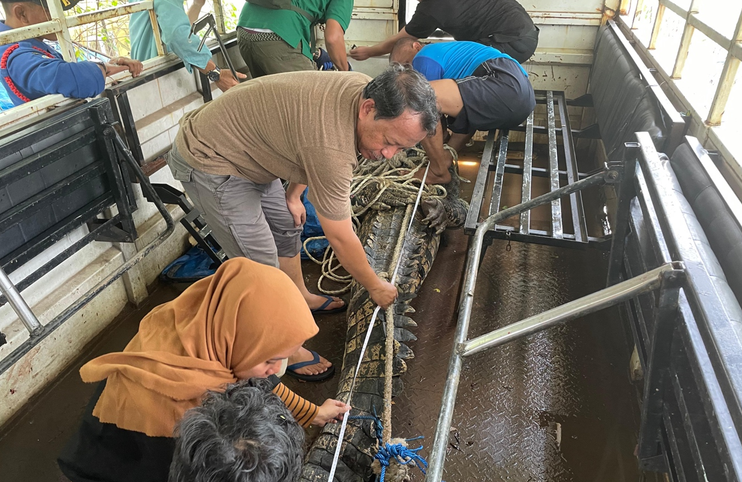 Pentingnya Penyelarasan Konservasi dengan Kepercayaan Masyarakat dalam Penanganan Buaya Muara di Sulsel