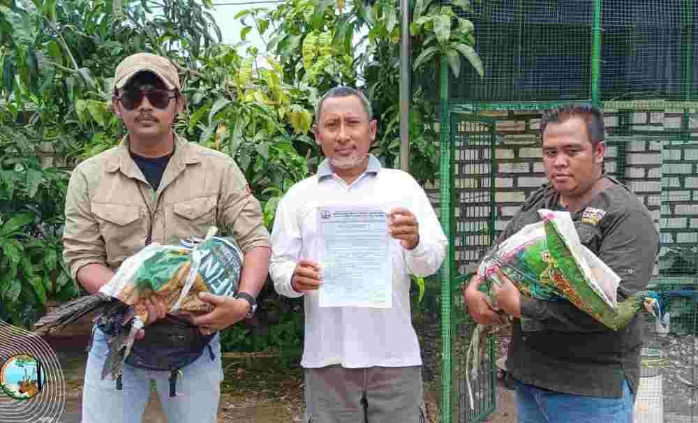Evakuasi Satwa, Langkah Penting Lindungi Satwa Liar Dilindungi