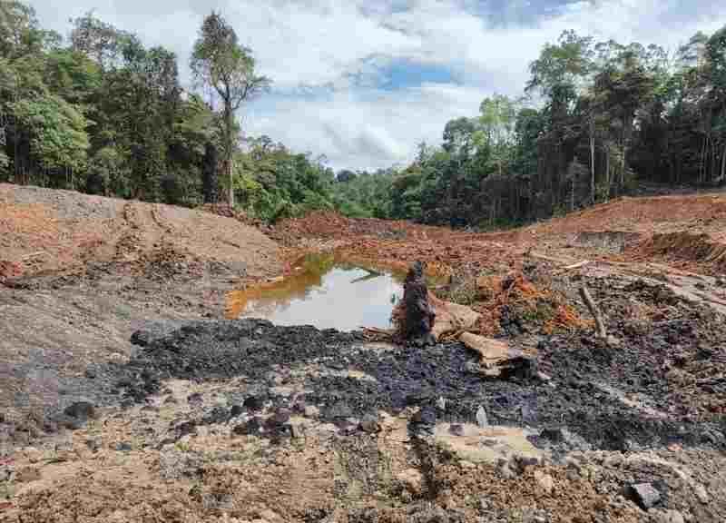 Tegas, Kemenhut  Selidiki Tambang Ilegal di Hutan Pendidikan Unmul