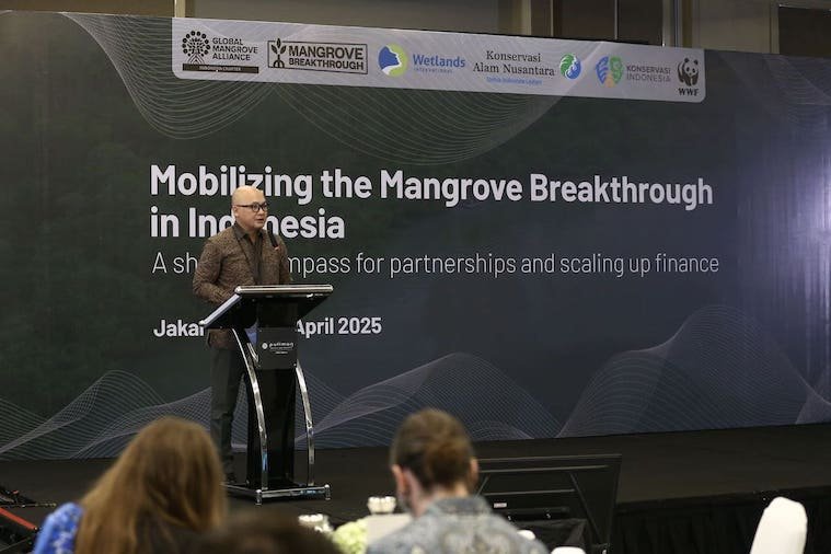 Mangrove Breakthrough: Bangun Sinergi Konservasi Mangrove di Indonesia dengan Kemitraan Berkelanjutan