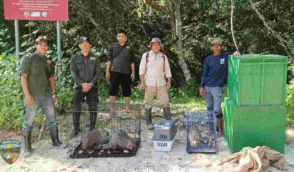 Pelepasliaran Satwa Dilindungi ke Habitatnya, Upaya BBKSDA Jatim Melestarikan Bumi