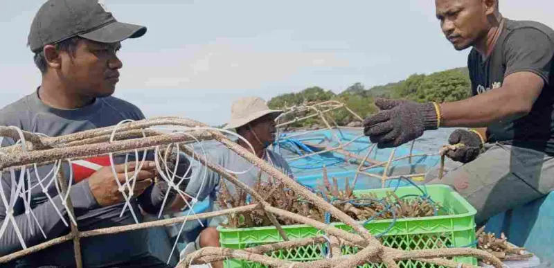 Laman, Upaya Rehabilitasi Terumbu Karang dan Peningkatan Ekonomi Masyarakat