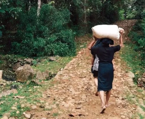 Grounding dalam Kebiasaan Masyarakat Adat Kajang